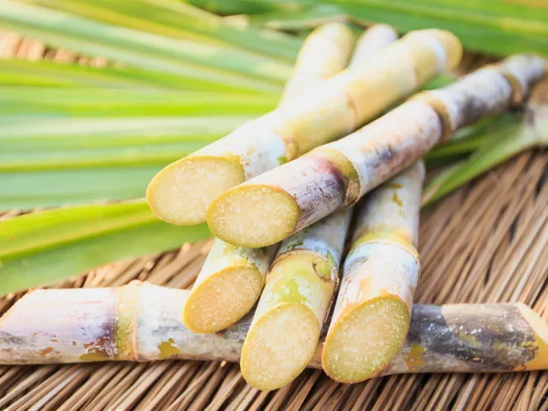 Freshly cut sugarcane stalks on a woven mat with green leaves